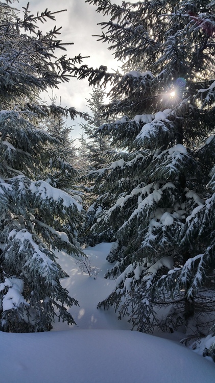 20170114_121054.jpg
