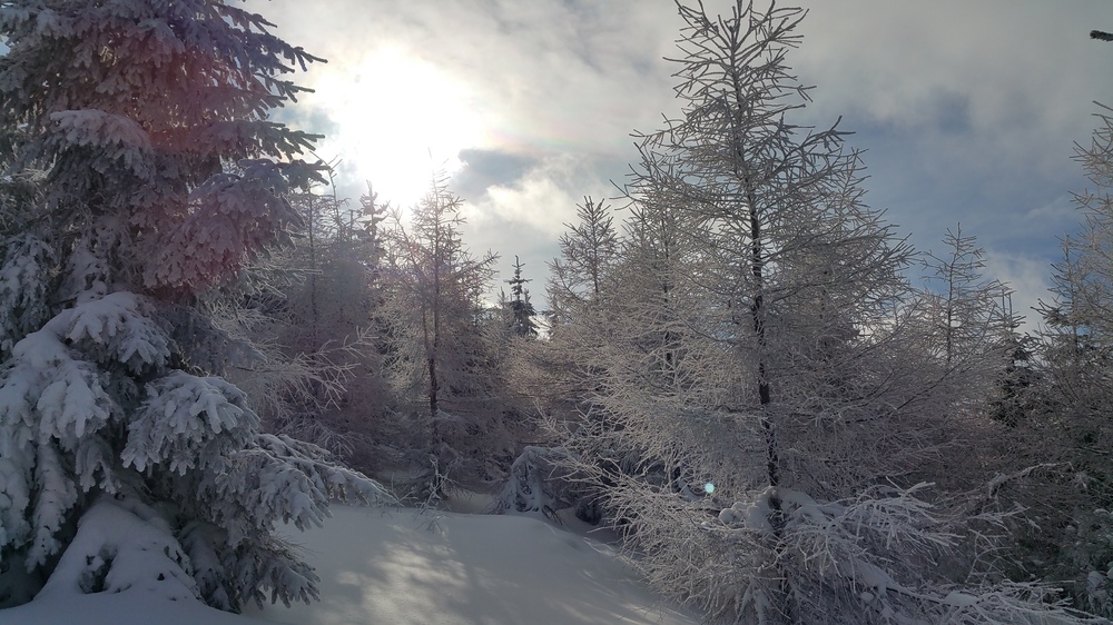20170114_121547.jpg