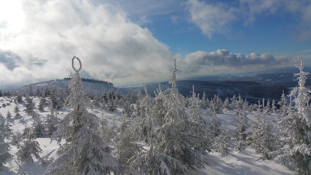 20170114_121752.jpg