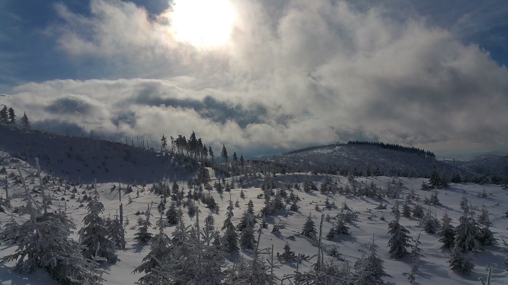 20170114_121804.jpg