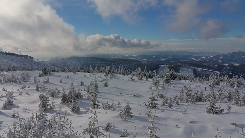 20170114_121805.jpg