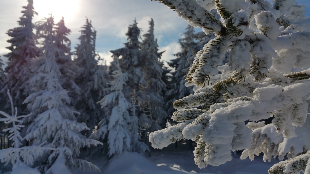 20170114_122323.jpg