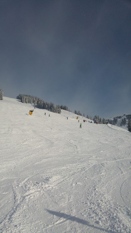 20170115_103133_HDR.jpg