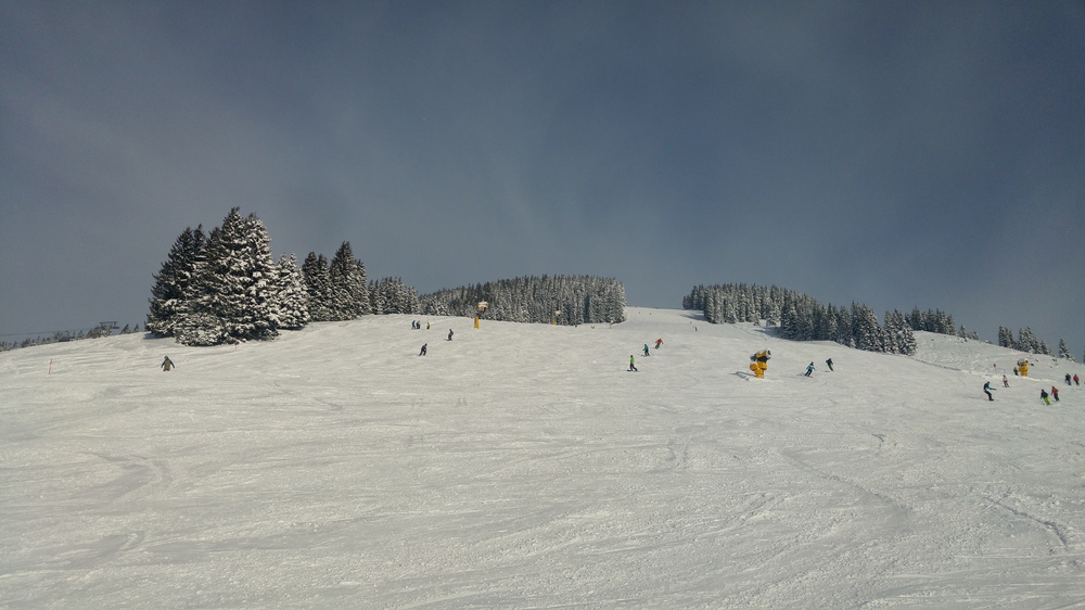 20170115_103139_HDR.jpg