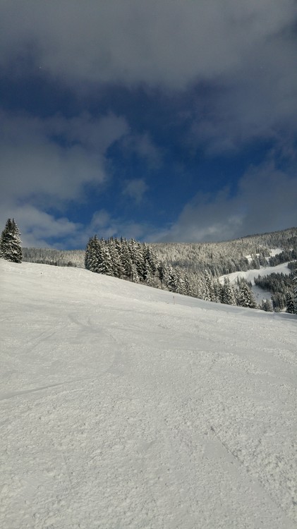 20170115_121020_HDR.jpg