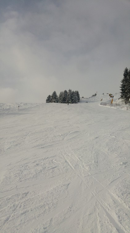 20170116_134045_HDR.jpg