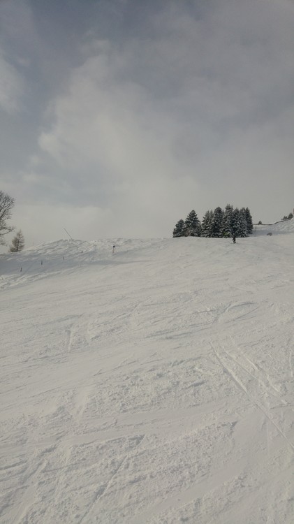 20170116_134047_HDR.jpg