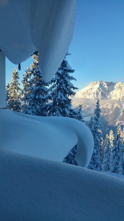 20170118_160903_HDR.jpg