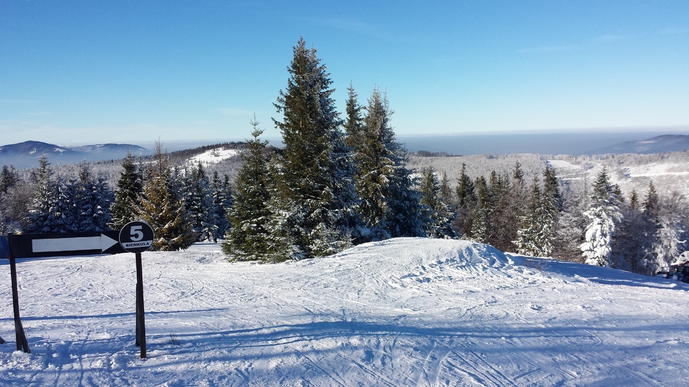 20170119_113436.jpg