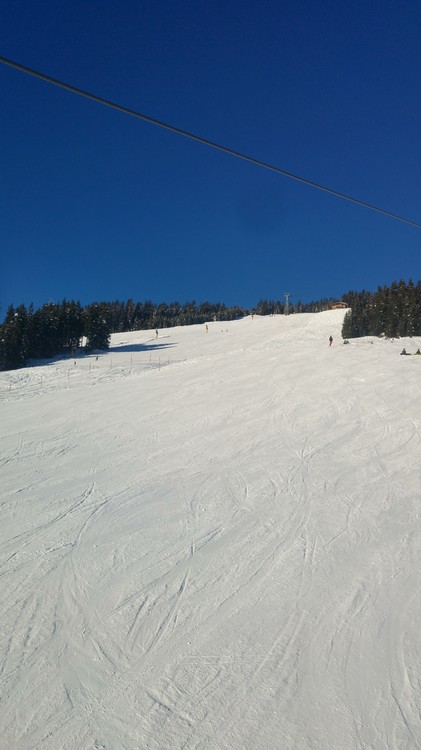 20170120_150513_HDR.jpg