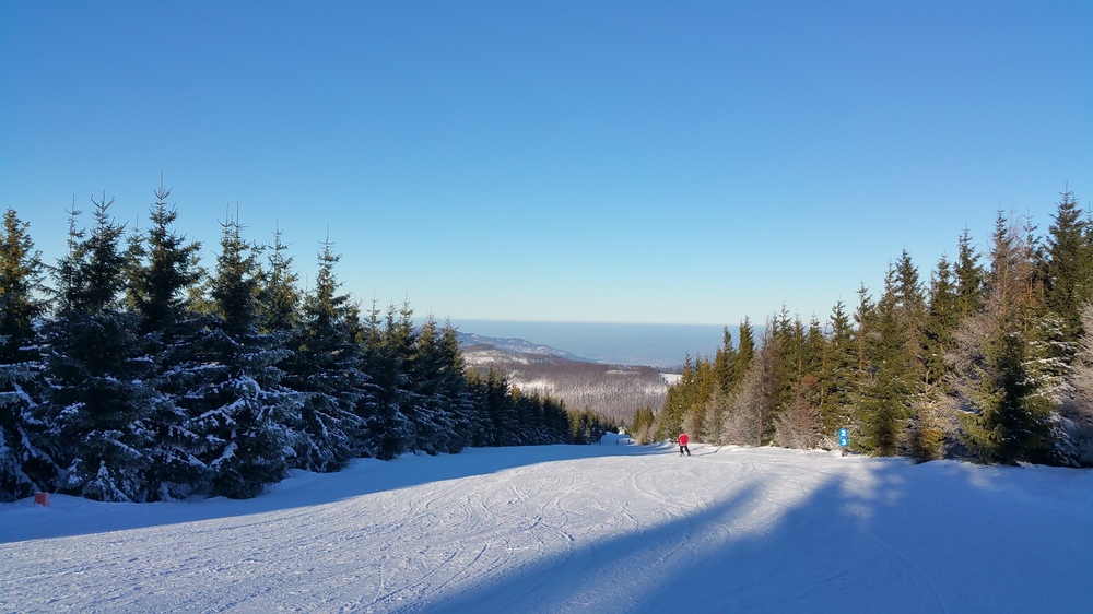 20170122_091938.jpg