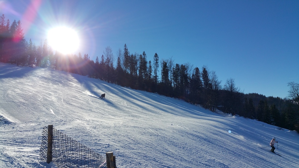 20170122_103619.jpg