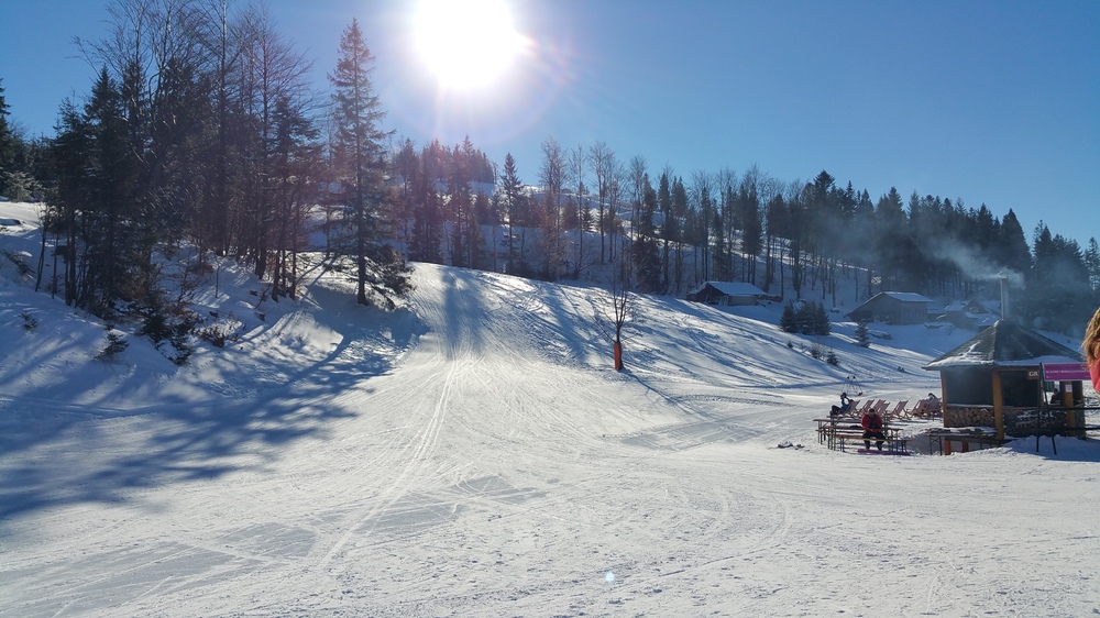 20170122_113055.jpg