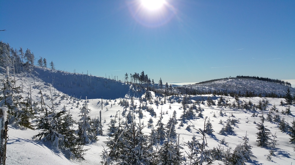 20170122_122639.jpg