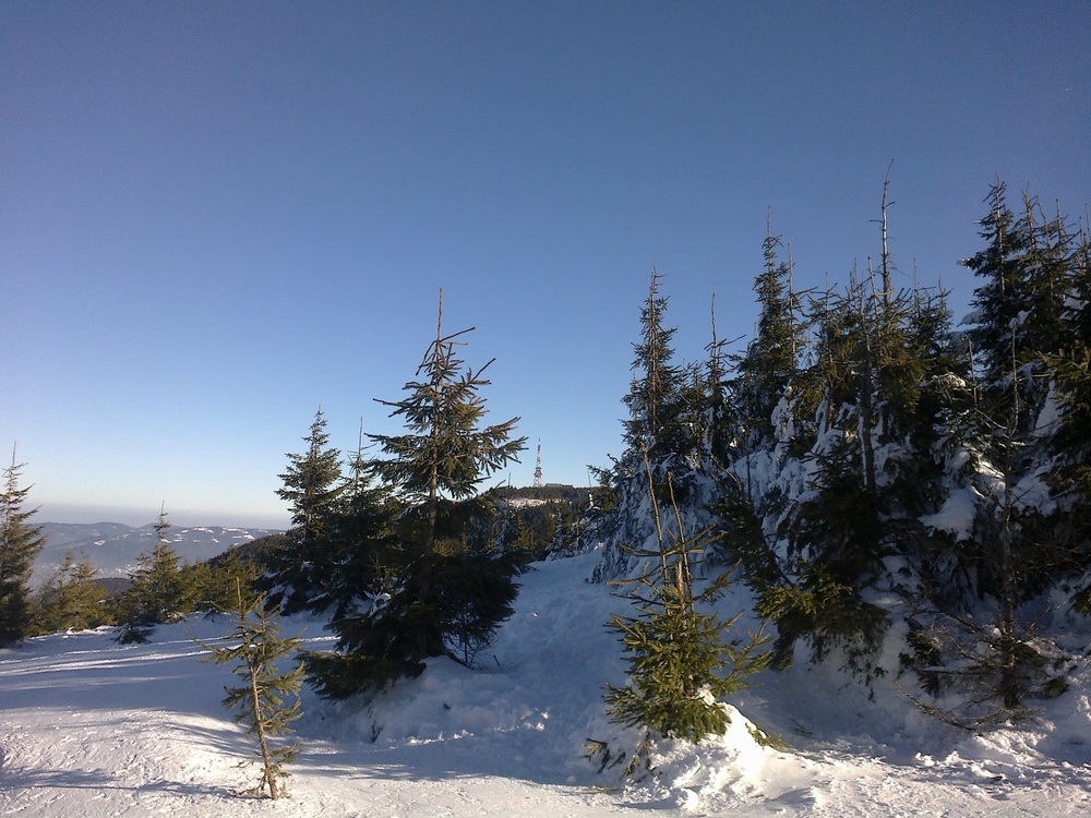 201701232062.jpg