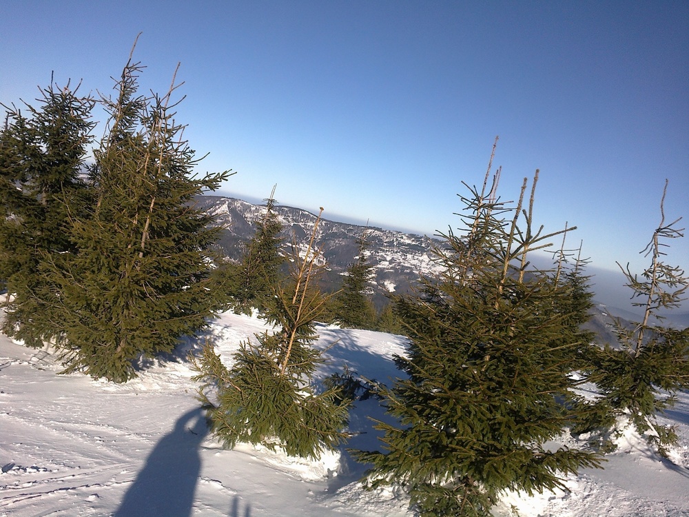 201701232064.jpg