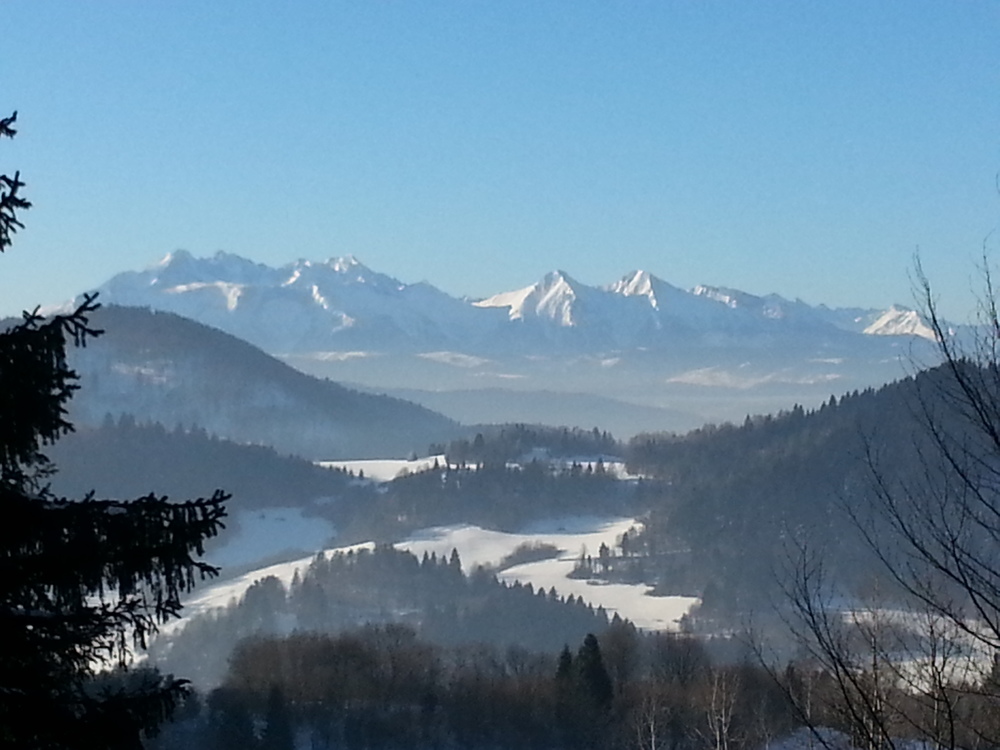 20170127_094725.jpg