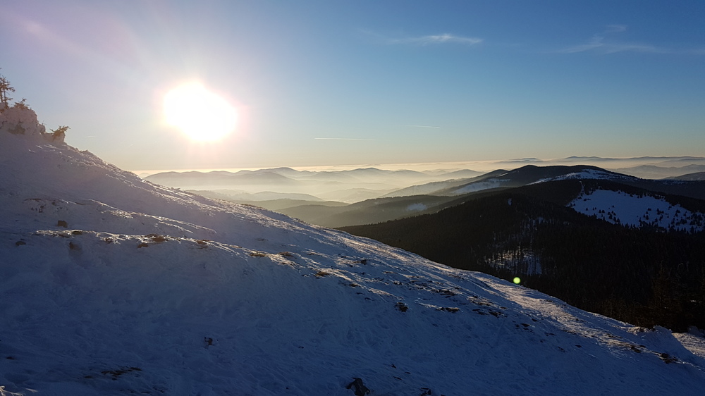 20170127_155013.jpg