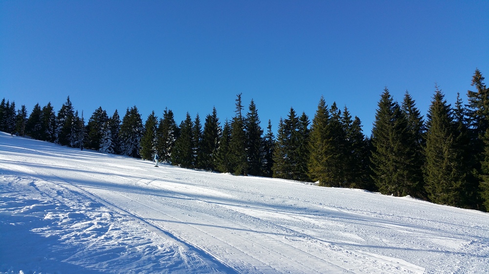 20170128_095345.jpg