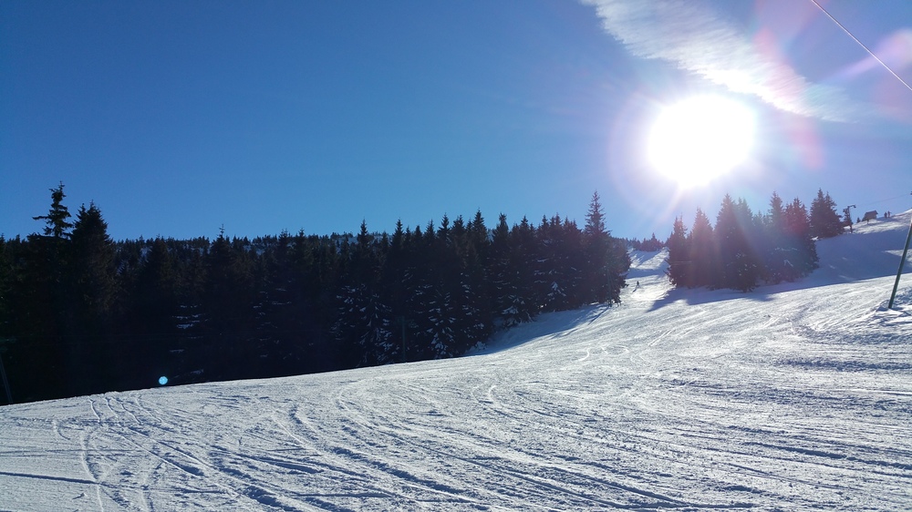20170128_114038.jpg