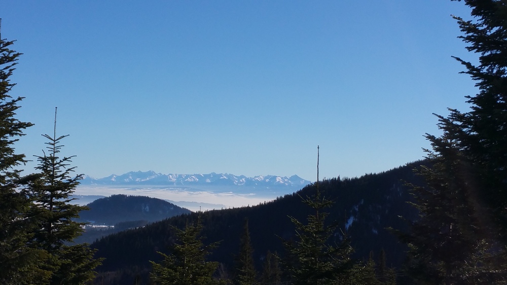 20170128_115415.jpg