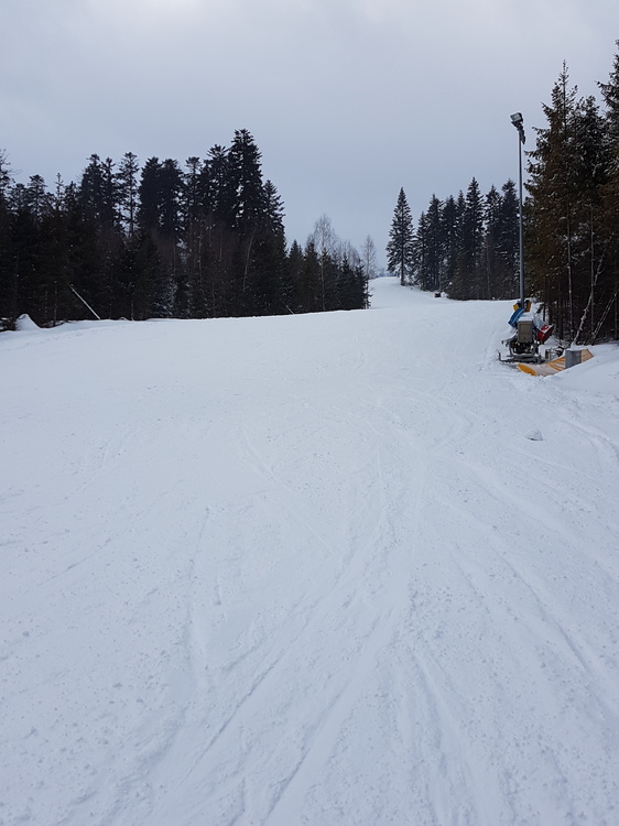 20170106_120452[1].jpg