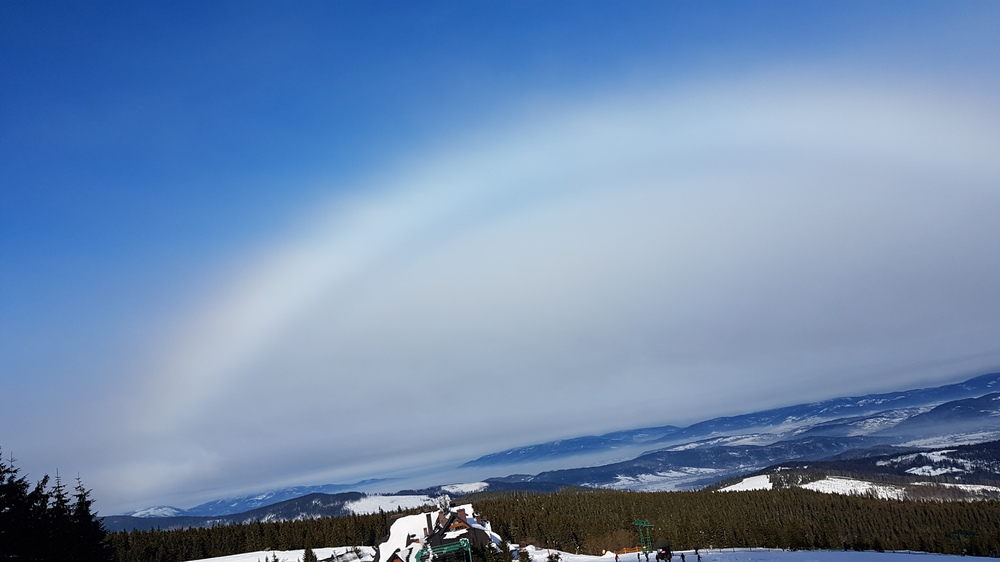 20170120_104107[1].jpg