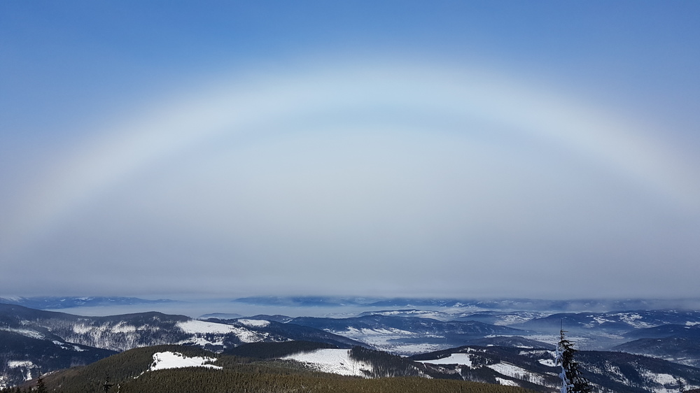20170120_104402[1].jpg