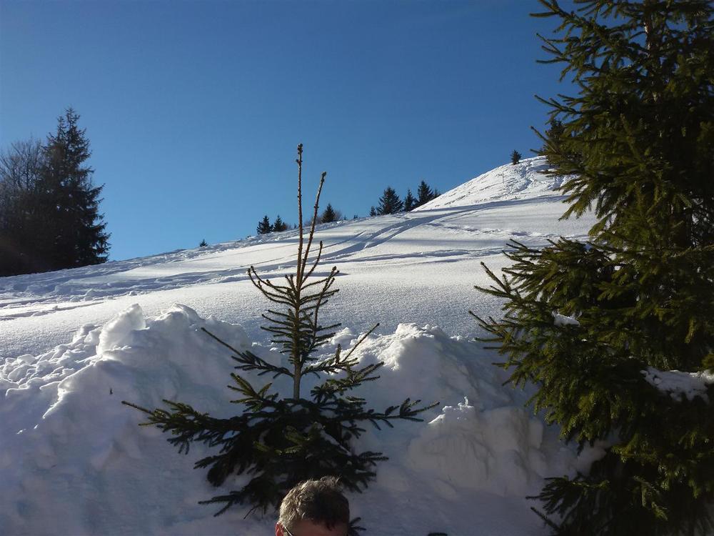 20170122_130946 (Large).jpg