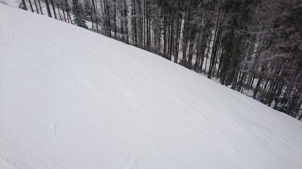 DSC_1636.JPG