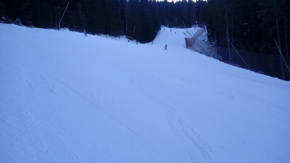 FIS4.jpg