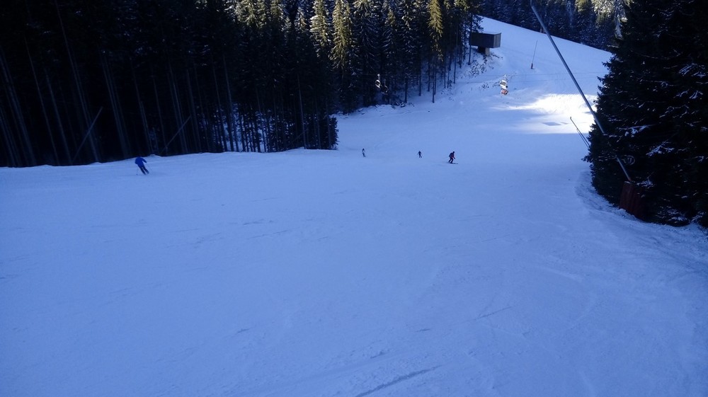 FIS5.jpg