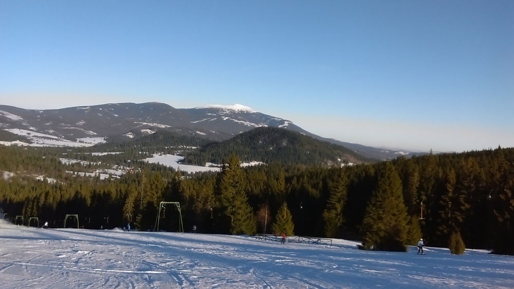 IMAG0331.jpg
