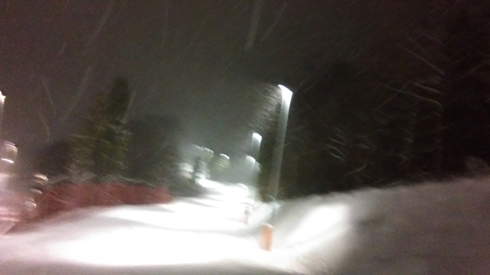 IMAG0335.jpg