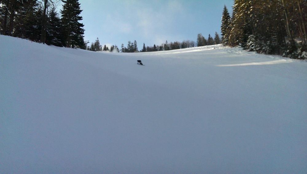 IMAG3175.jpg