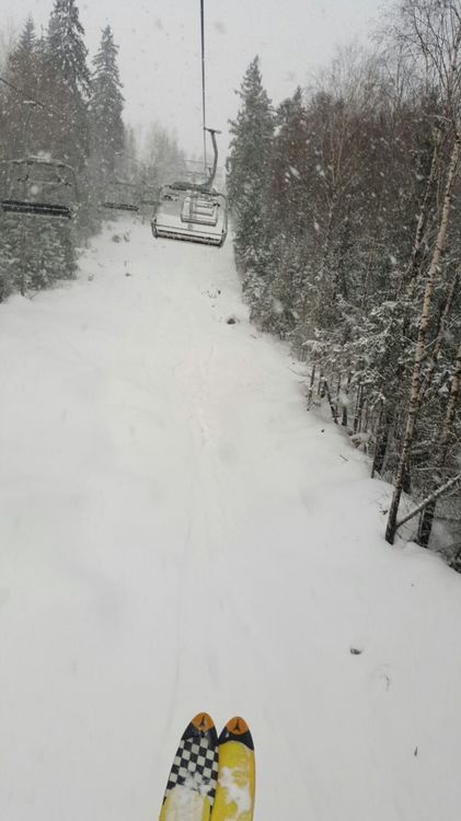 IMG-20170115-WA0011.jpg