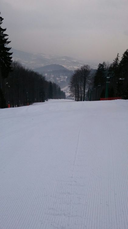 IMG-20170117-WA0006.jpg