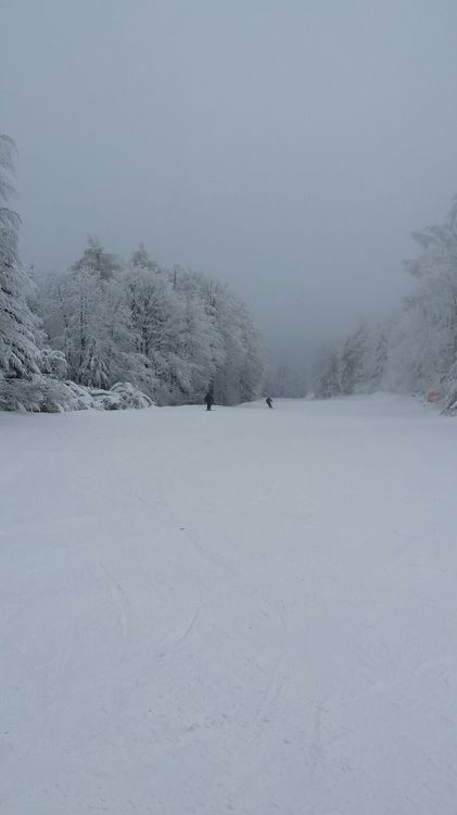 IMG-20170119-WA0000.jpg