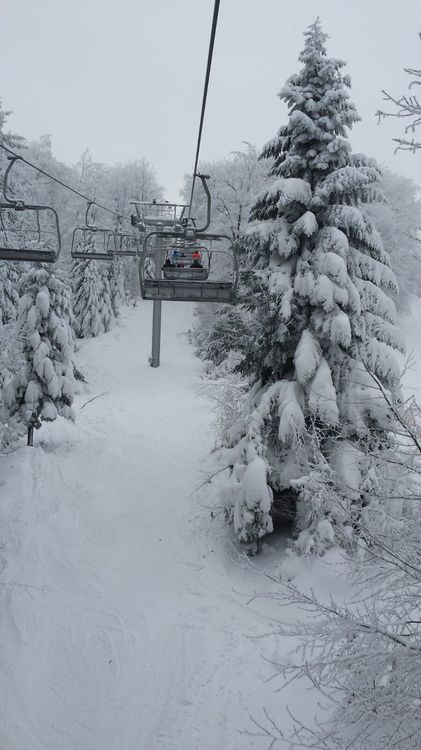 IMG-20170119-WA0002.jpg