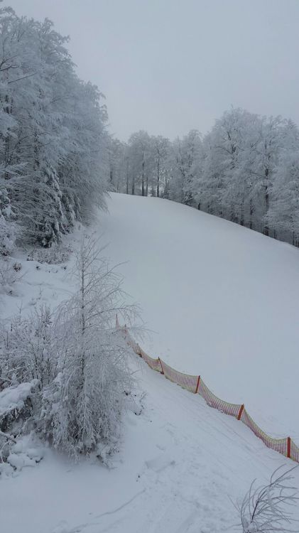 IMG-20170119-WA0004.jpg