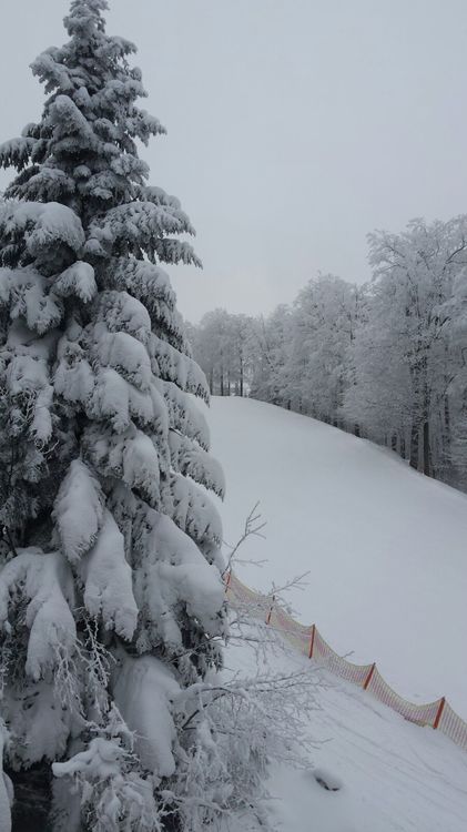 IMG-20170119-WA0005.jpg