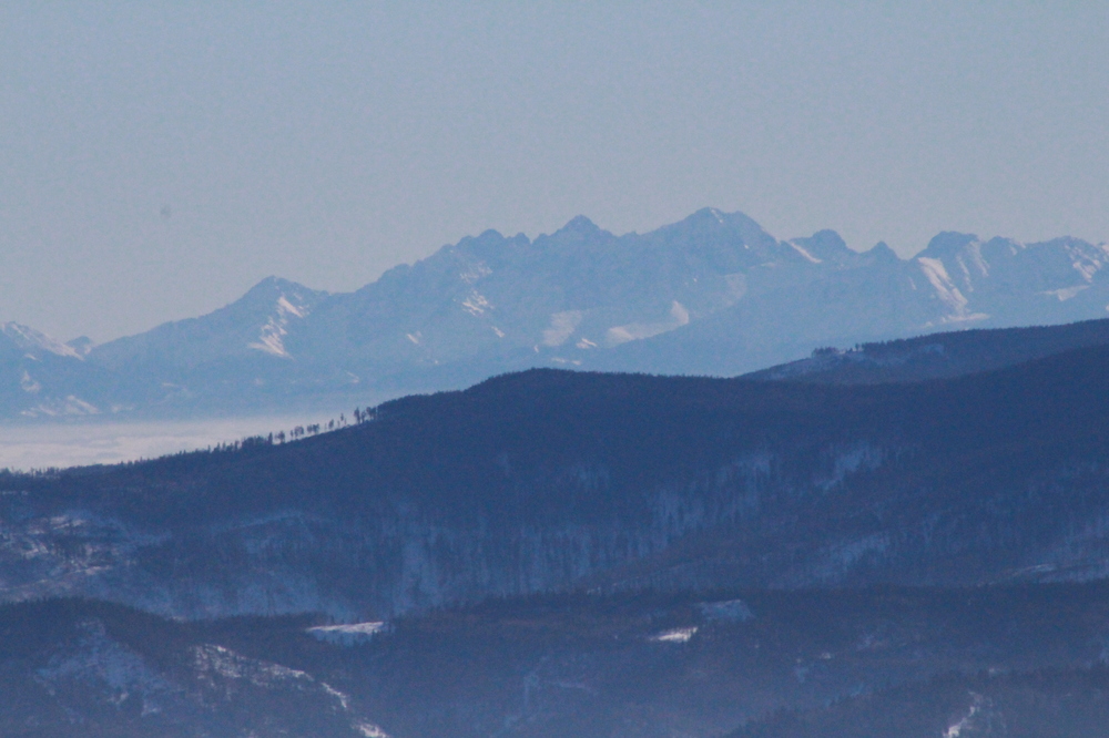 IMG_5466.JPG