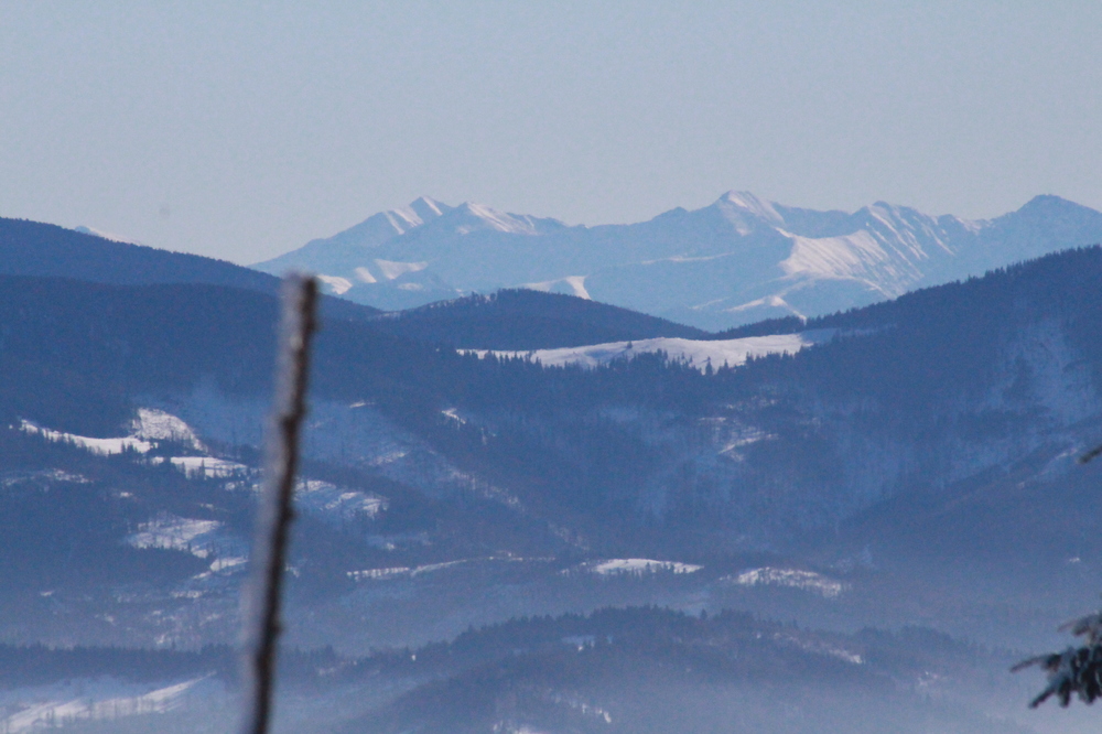 IMG_5470.JPG