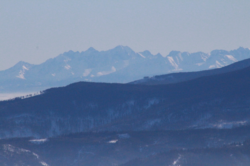 IMG_5477.JPG