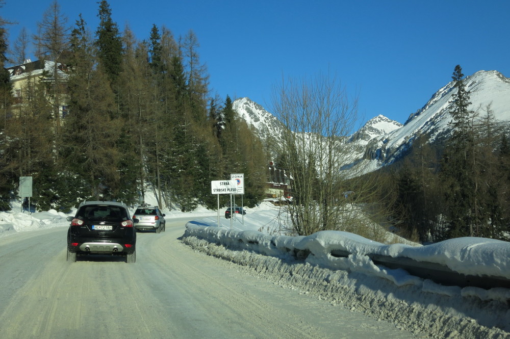 IMG_7117.JPG