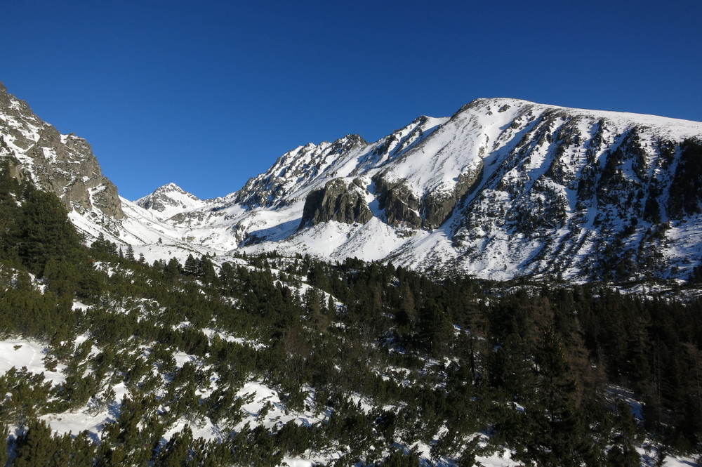 IMG_7126.JPG