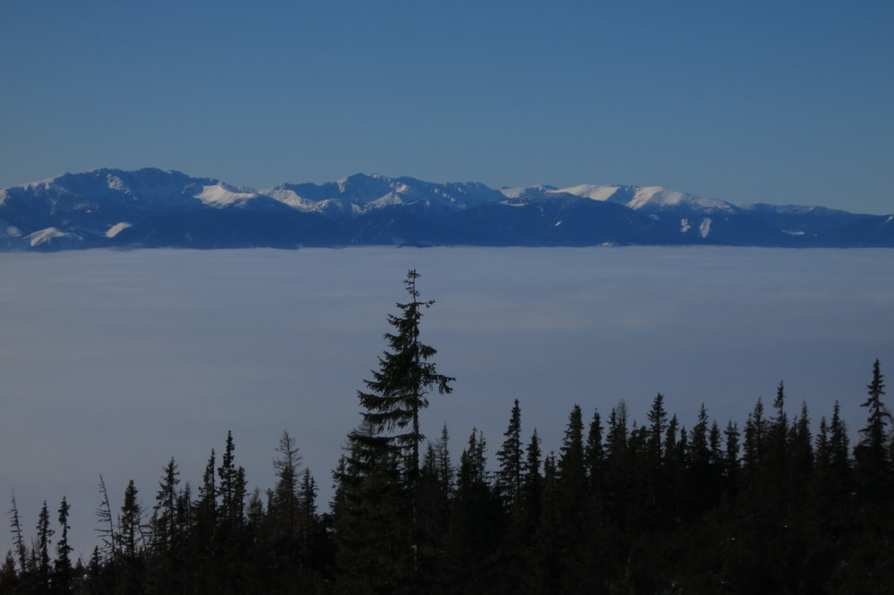 IMG_7176.JPG