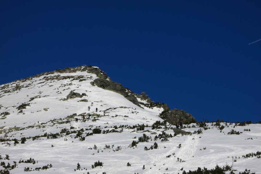 IMG_7182.JPG