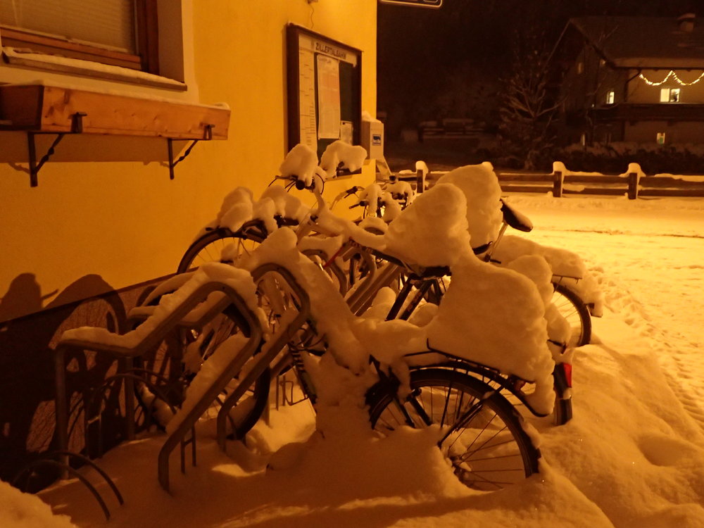 P1083784.JPG