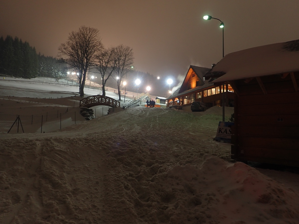 P1134252.JPG